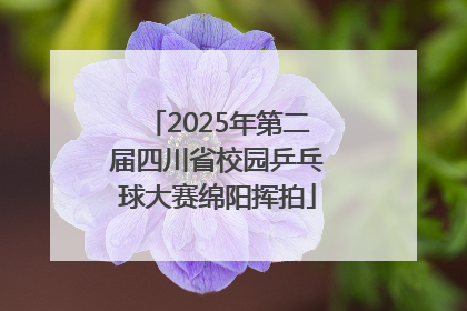 2025年第二届四川省校园乒乓球大赛绵阳挥拍