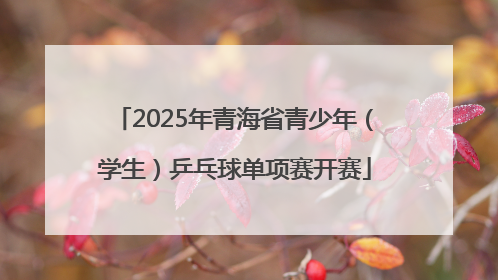 2025年青海省青少年（学生）乒乓球单项赛开赛