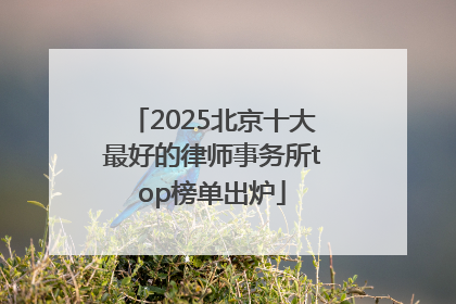 2025北京十大最好的律师事务所top榜单出炉