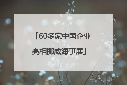 60多家中国企业亮相挪威海事展