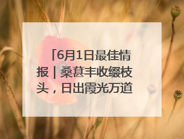 6月1日最佳情报｜桑葚丰收缀枝头，日出霞光万道蓬勃壮观！恭喜