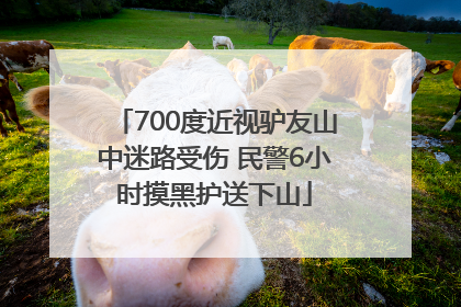 700度近视驴友山中迷路受伤 民警6小时摸黑护送下山