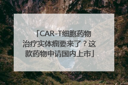 CAR-T细胞药物治疗实体瘤要来了？这款药物申请国内上市