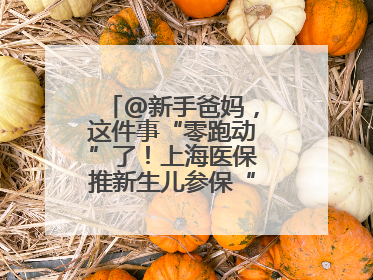 @新手爸妈，这件事“零跑动”了！上海医保推新生儿参保“免申办”服务