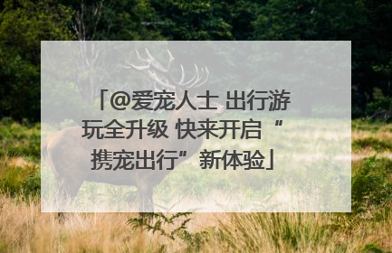 @爱宠人士 出行游玩全升级 快来开启“携宠出行”新体验