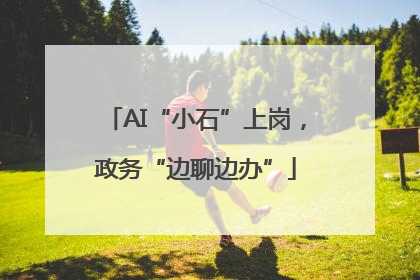 AI“小石”上岗，政务“边聊边办”