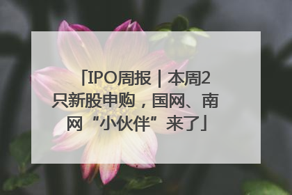 IPO周报｜本周2只新股申购，国网、南网“小伙伴”来了